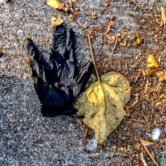 Tuesday September 10th (2019) glove and leaf align=