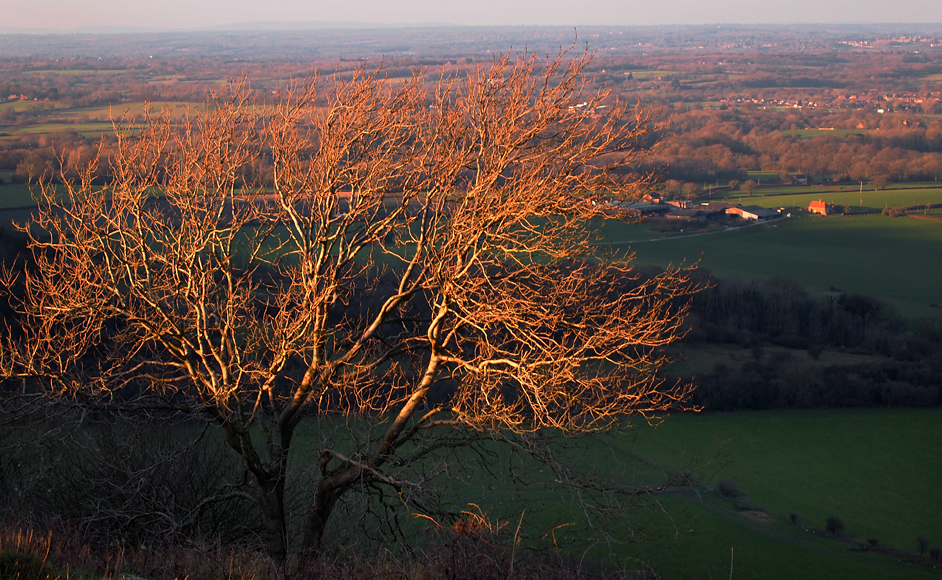 Saturday December 27th (2014) mount harry align=