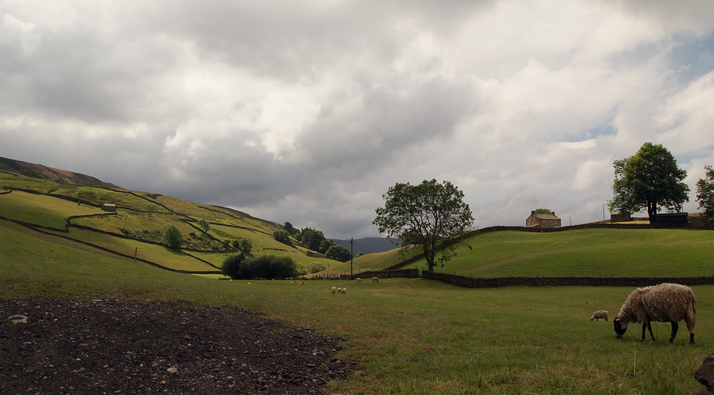 Sunday July 13th (2014) swaledale align=