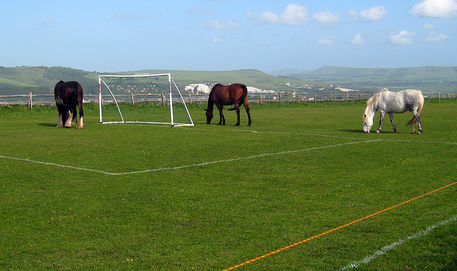 Saturday May 19th (2007) cup final align=