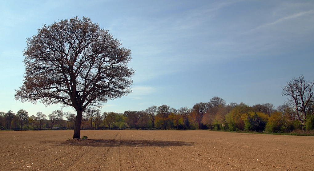 Tuesday May 7th (2013) ploughed field align=
