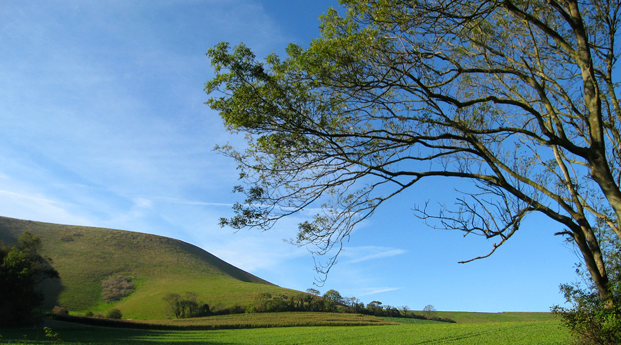 Friday November 3rd (2006) downland align=