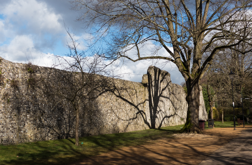 Thursday February 19th (2015) tree shadow wall align=