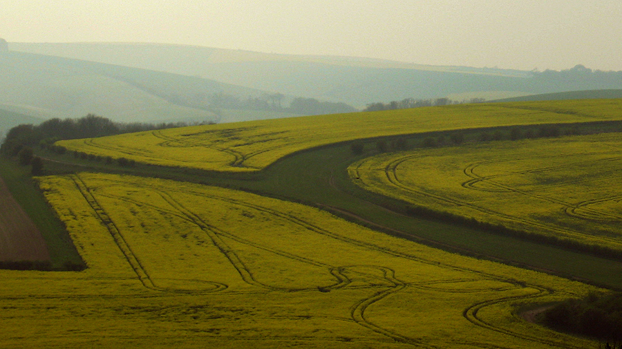 Monday April 16th (2007) field patterns align=