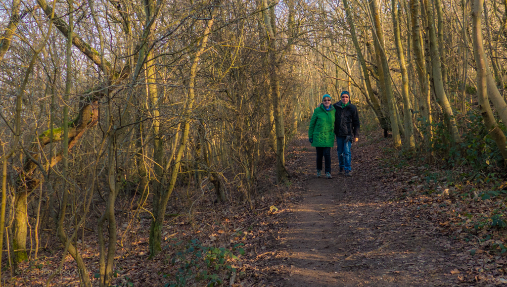 Thursday January 25th (2018) walk in the woods align=