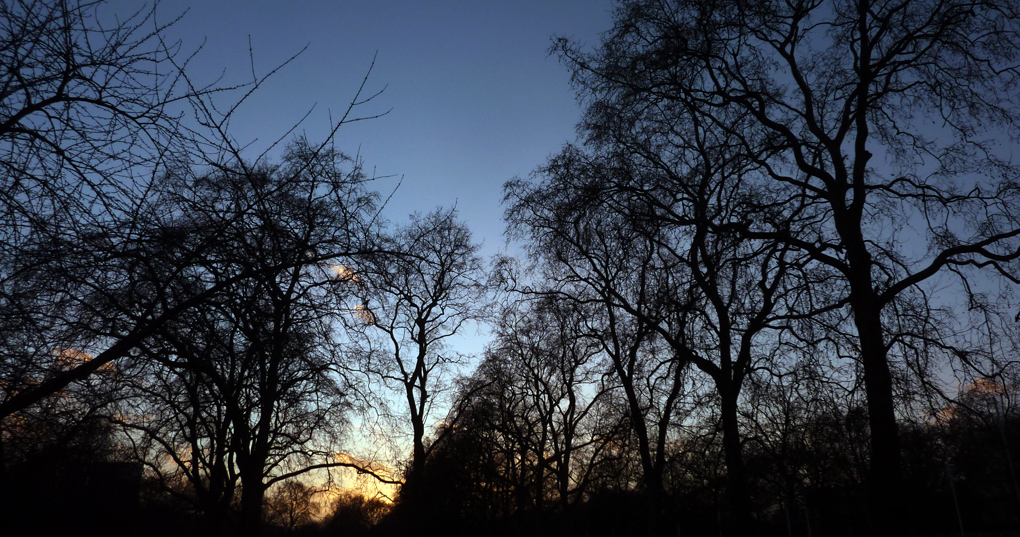 Thursday January 31st (2013) saint james's park align=