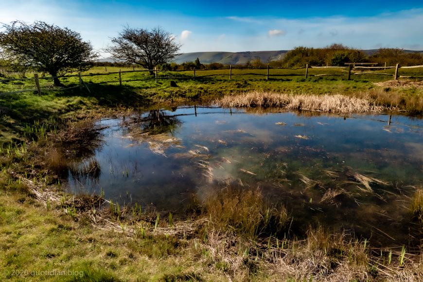 Sunday April 5th (2020) clear pond align=