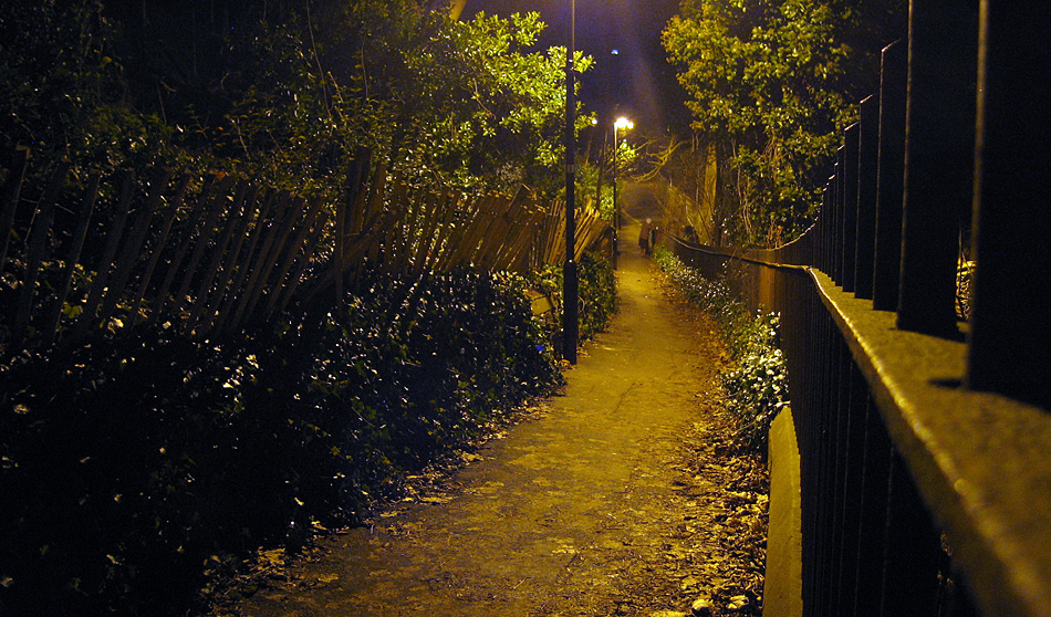 Monday January 5th (2009) the walk home align=