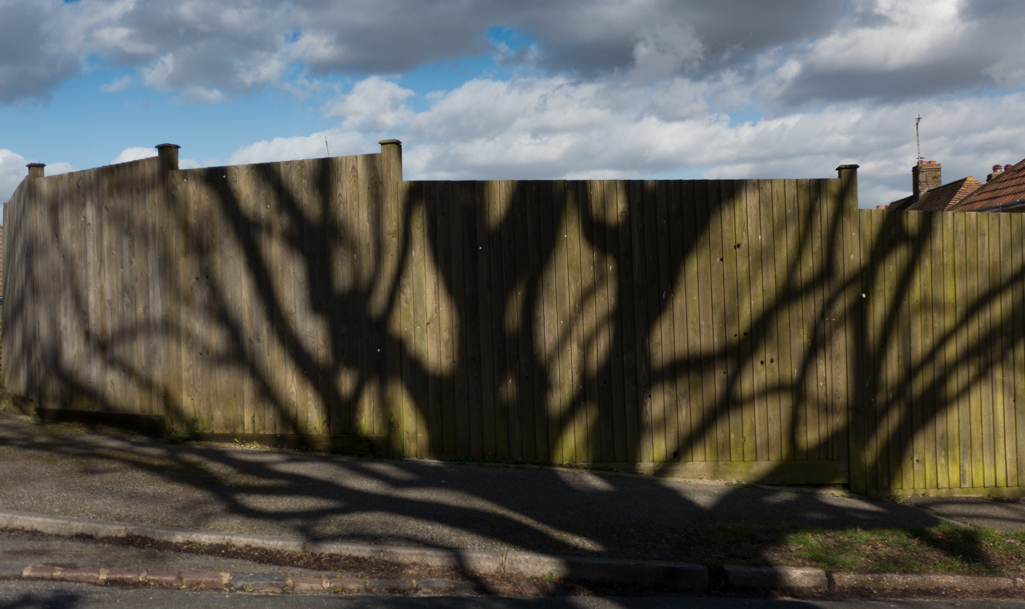 Thursday February 26th (2015) shadow fence align=