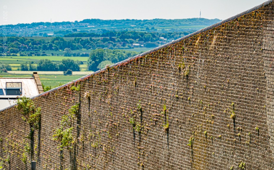 Wednesday June 9th (2021) prison wall align=