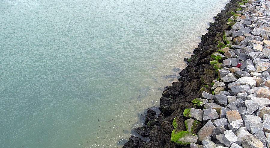 Sunday September 2nd (2007) harbour align=