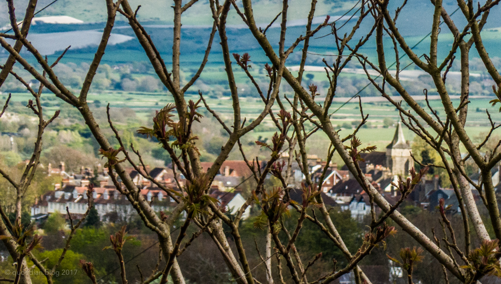 Saturday April 15th (2017) st. annes through the trees align=