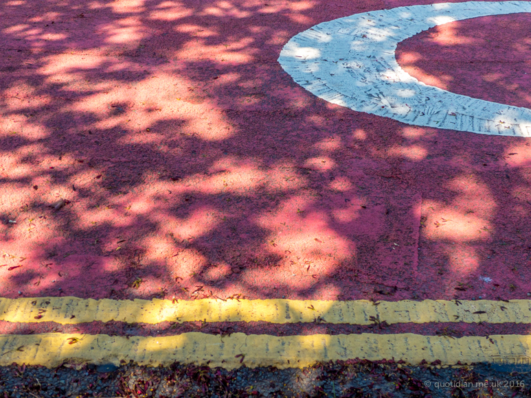 Tuesday May 17th (2016) dappled red road align=