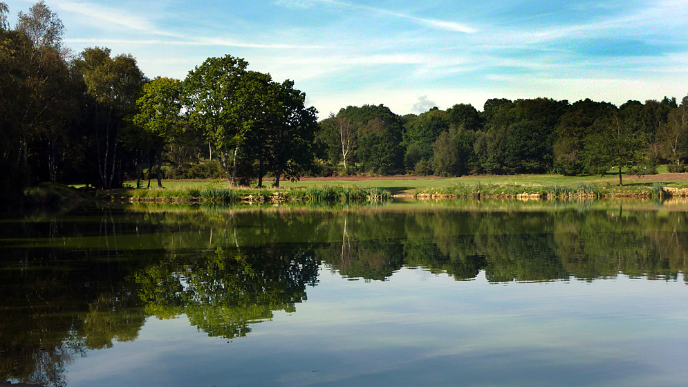 Thursday September 8th (2011) piltdown pond align=