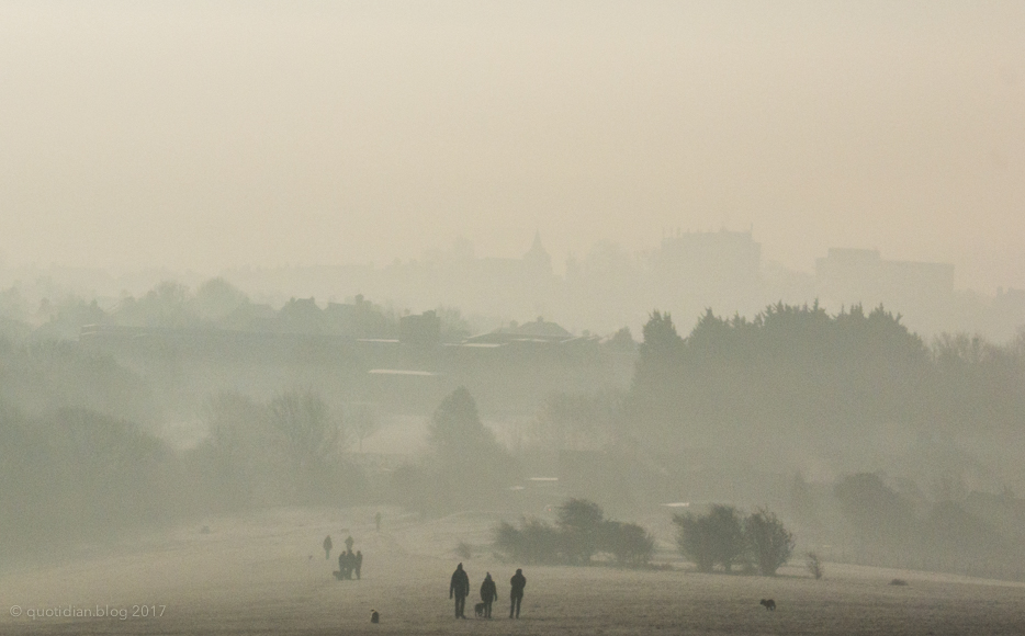 Sunday January 22nd (2017) misty frosty walk align=