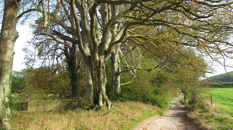 Sunday October 29th (2006) perfect autumn day align=