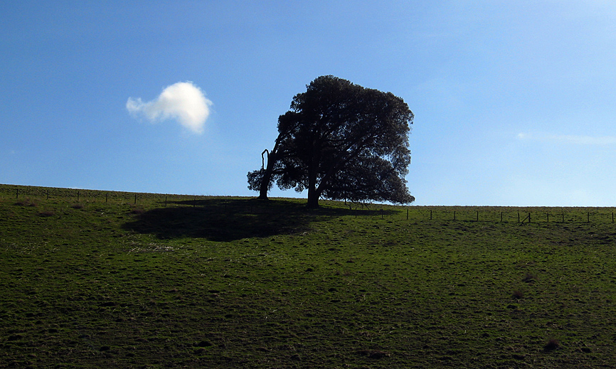 Saturday March 10th (2007) lonely cloud align=