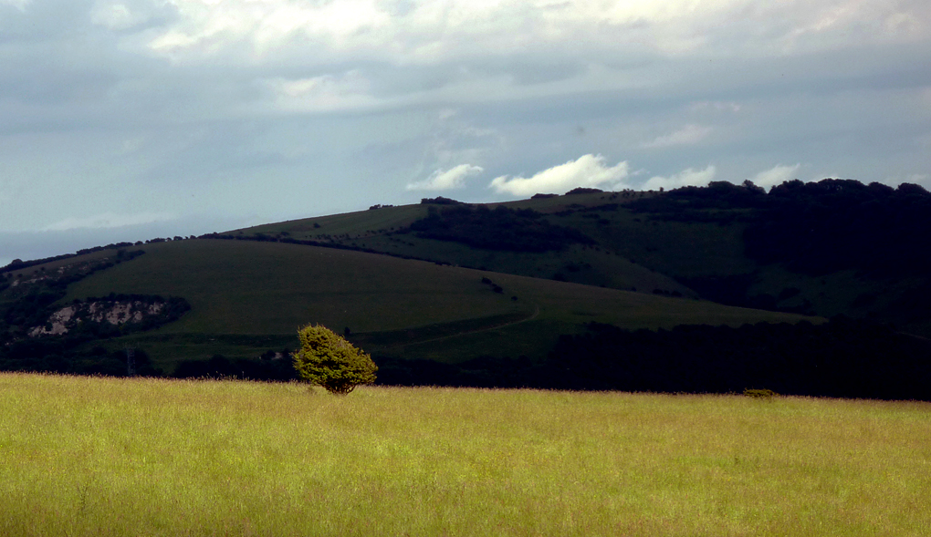 Wednesday June 18th (2014) contrasting light align=