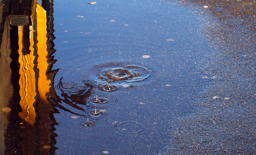 Wednesday December 19th (2007) drips in a puddle align=