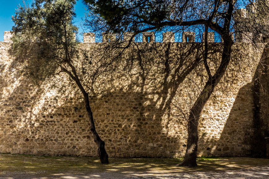 Saturday March 18th (2017) castle wall align=