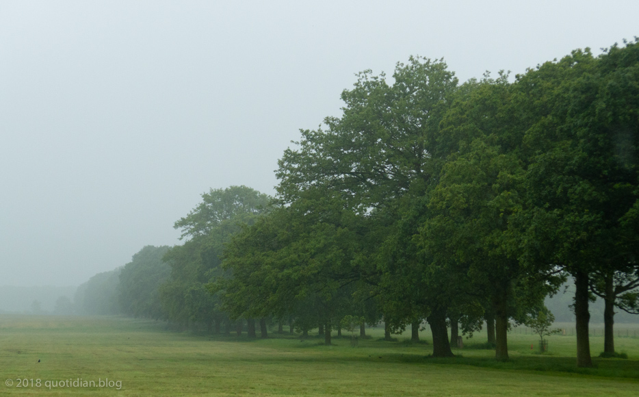 Saturday June 2nd (2018) burton constable align=