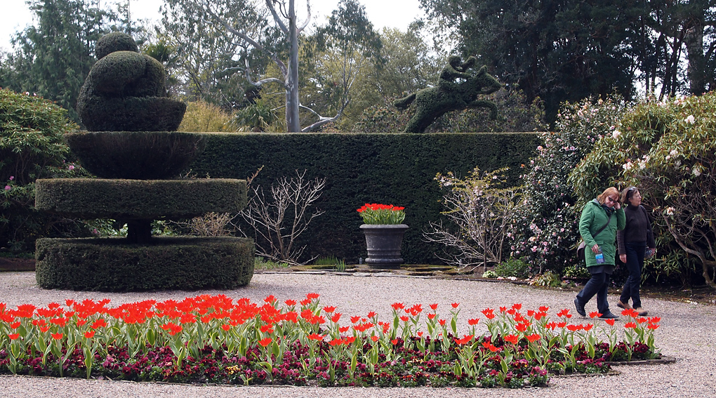 Friday May 3rd (2013) extreme topiary align=