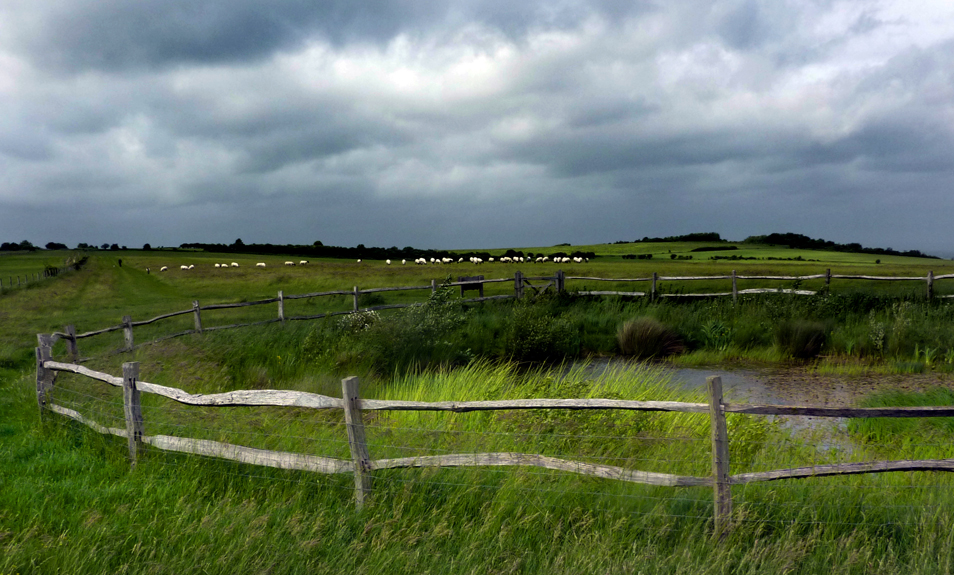 Friday June 8th (2012) a very windy day align=