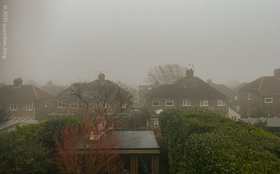 Sunday December 19th (2021) another lovely day in blunderland align=