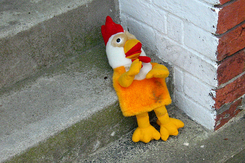 Tuesday July 4th (2006) lost toy align=