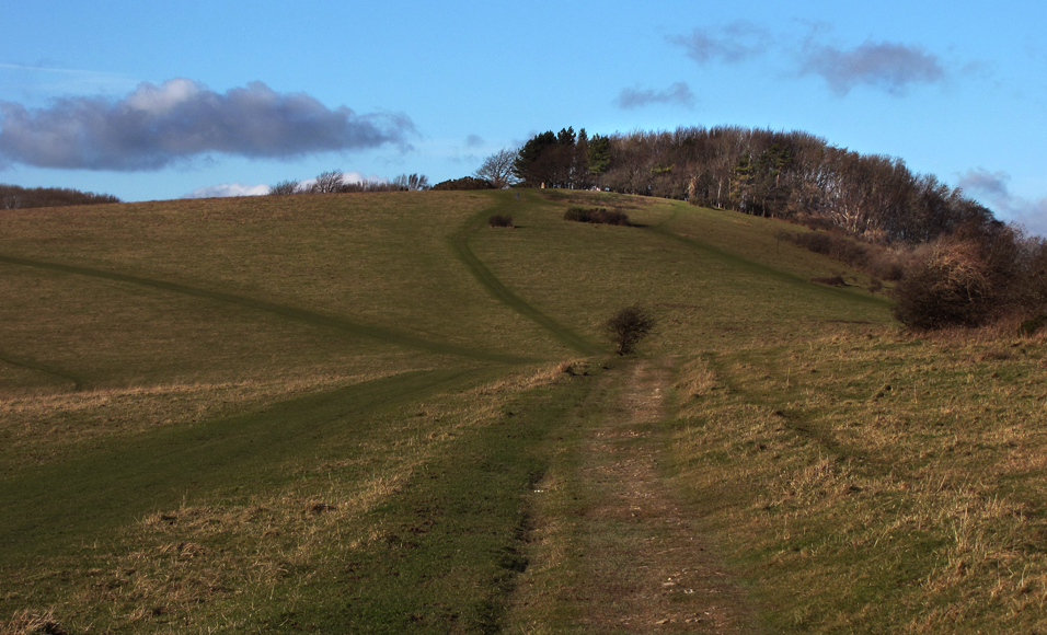 Sunday January 19th (2014) walk to blackcap align=