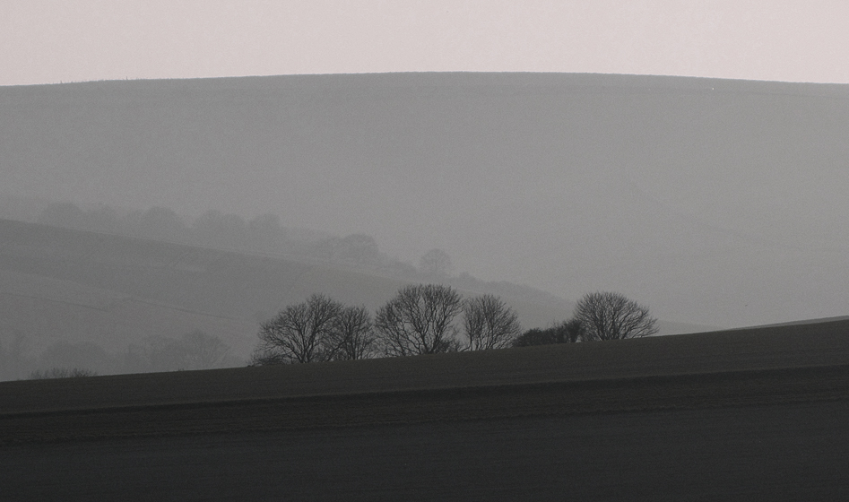 Tuesday March 24th (2009) more misty trees align=