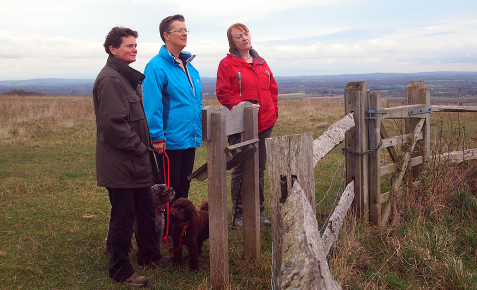 Saturday November 17th (2012) looking at the windmill align=