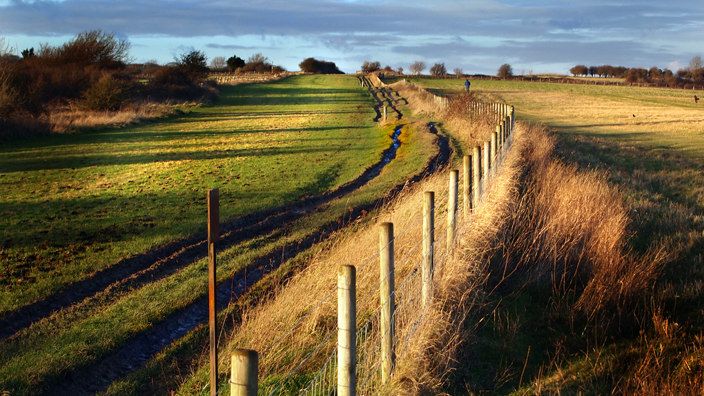 Monday January 7th (2013) deep furrows align=