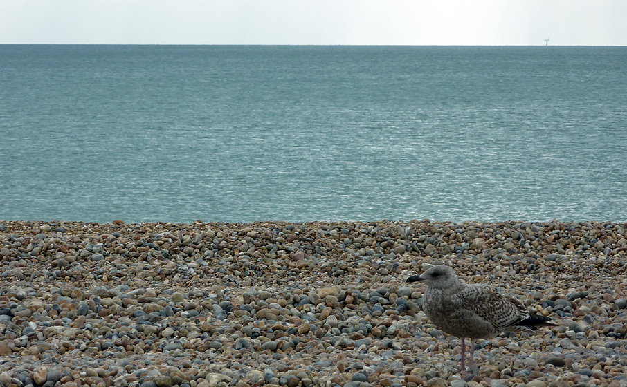 Wednesday October 14th (2009) cooden beach align=