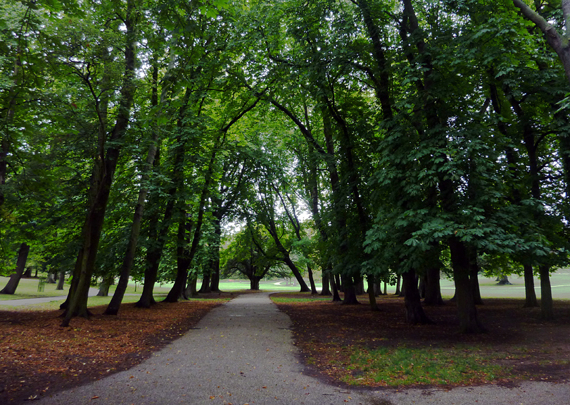 Wednesday August 17th (2011) dark canopy align=