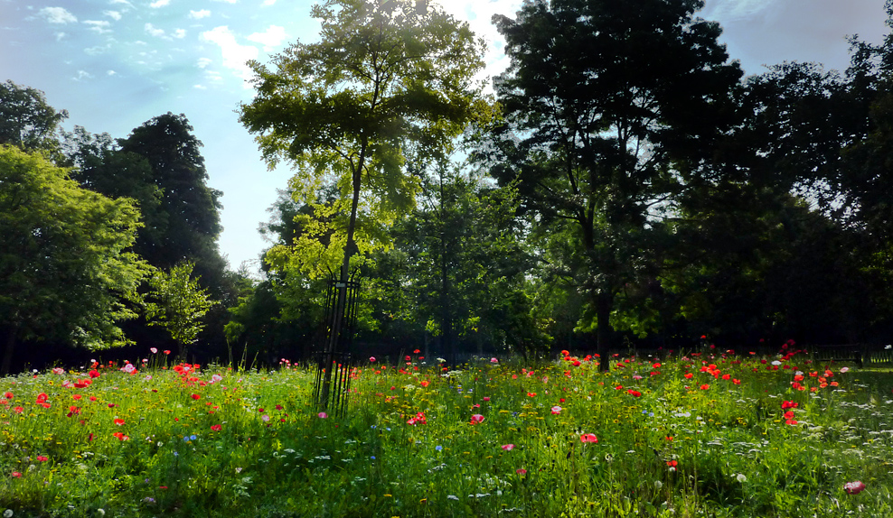 Monday August 1st (2011) meadow in the grange align=