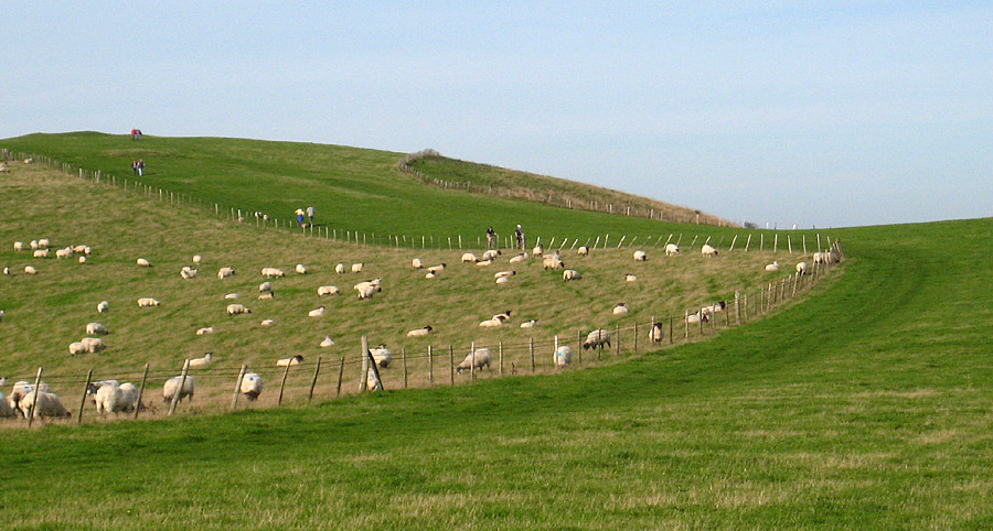 Saturday October 28th (2006) grazing align=