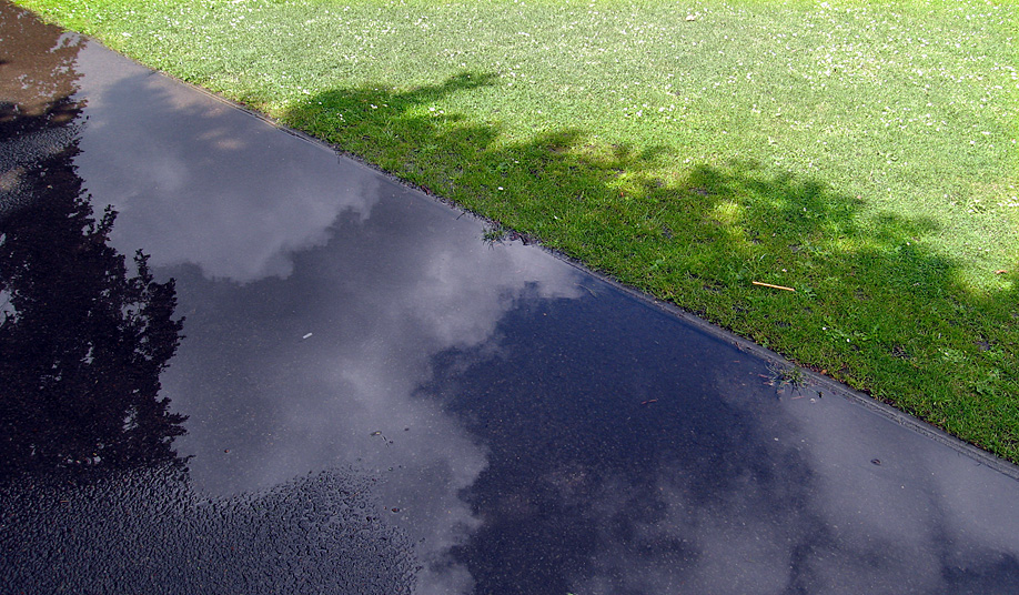 Wednesday June 11th (2008) after the rain align=