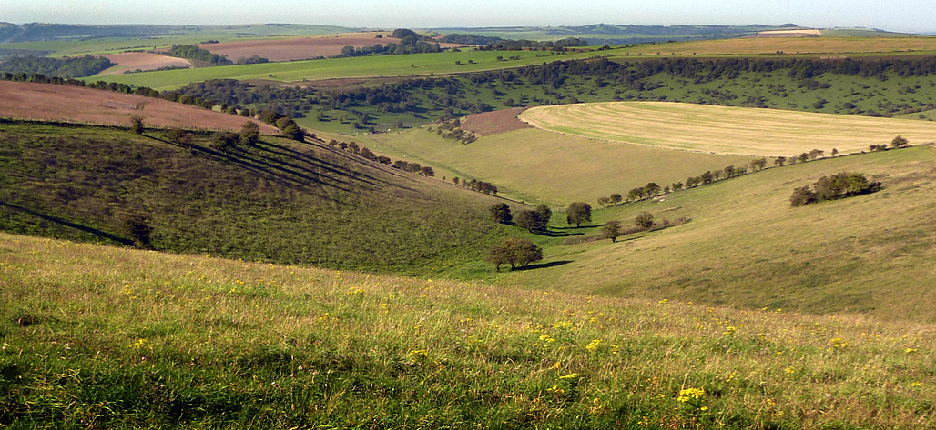 Sunday October 2nd (2011) Looking WSW from beyond the beacon align=