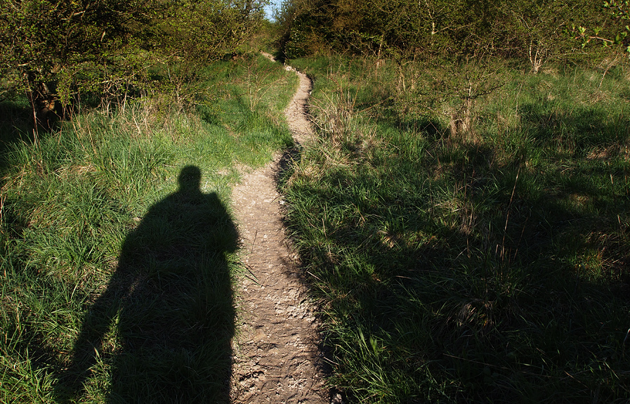 Tuesday April 5th (2011) the chosen path align=