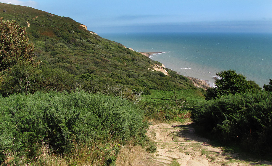 Saturday August 15th (2009) fairlight cove align=