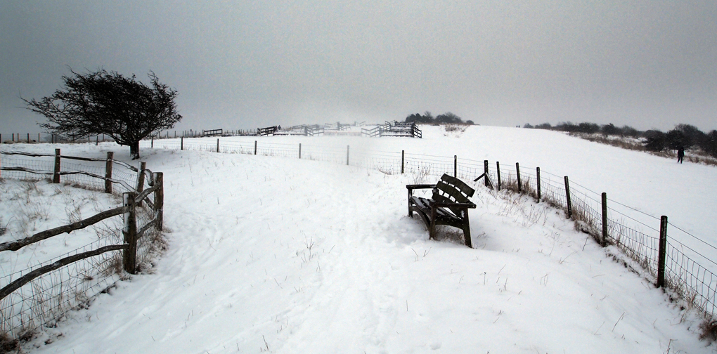 Wednesday January 23rd (2013) whiteout align=