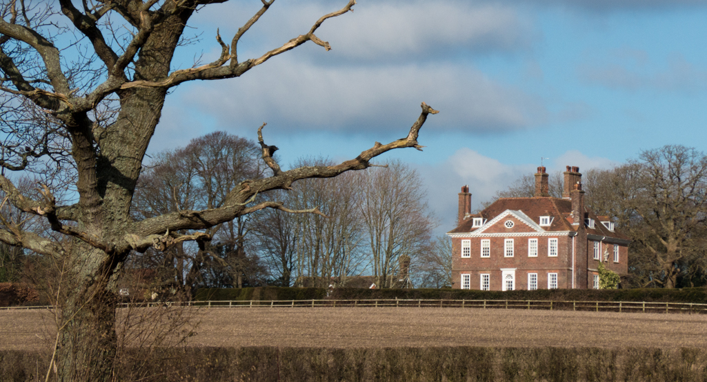 Monday February 2nd (2015) shelley's folly align=