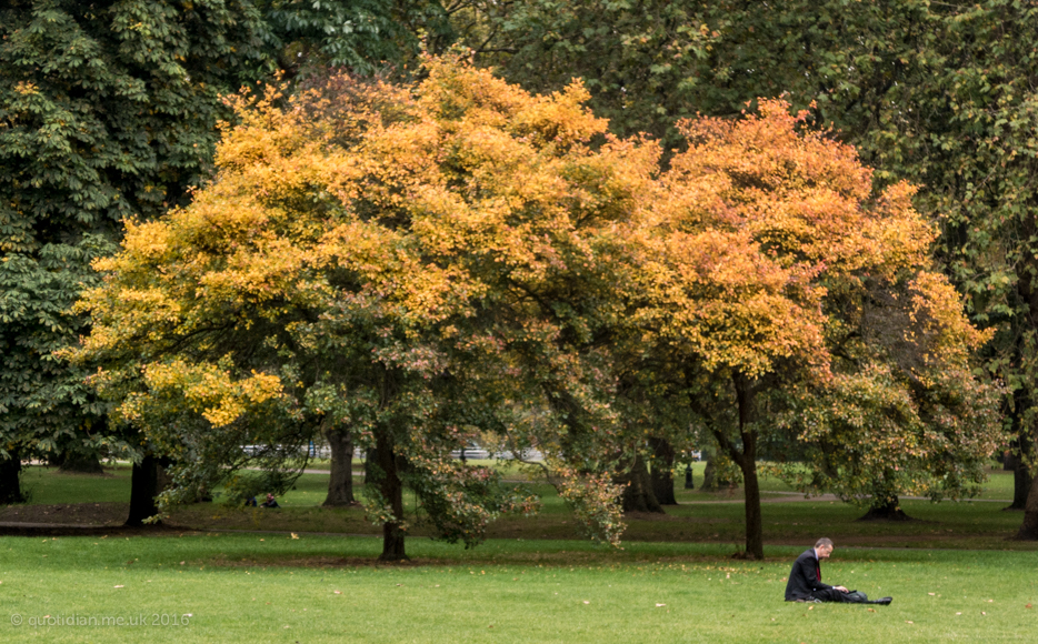 Wednesday October 26th (2016) song of autumn align=