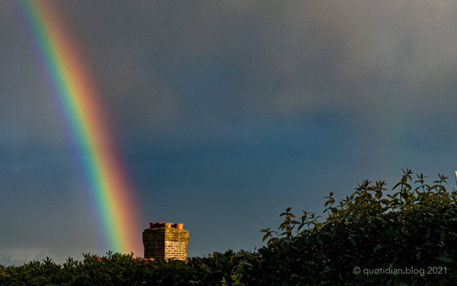 Tuesday May 4th (2021) rainbow memory align=