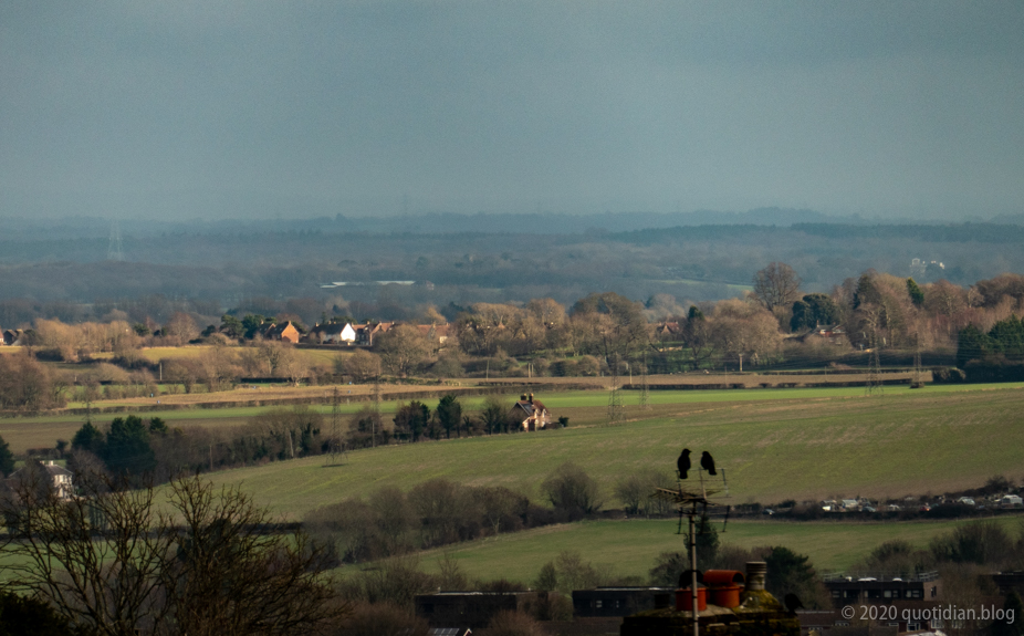 Monday January 4th (2021) distant view with two crows align=