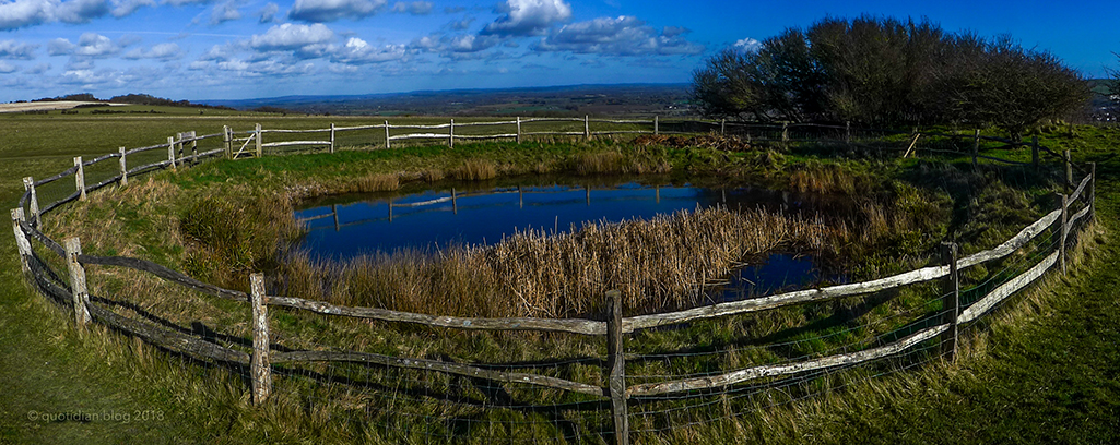 Saturday February 17th (2018) panoramic dewpond align=