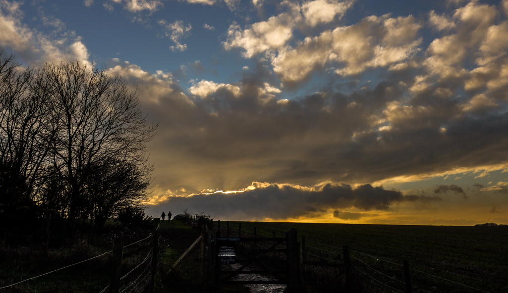 Thursday January 22nd (2015) stroll at sunset align=