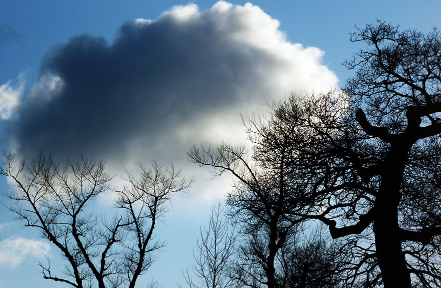 Sunday January 3rd (2010) sunday's cloud align=