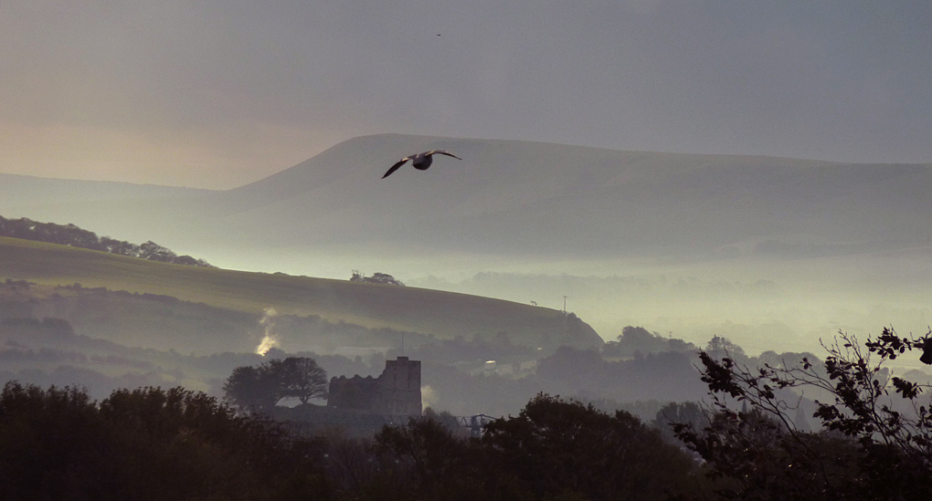 Tuesday October 16th (2012) the lone bird flies east align=